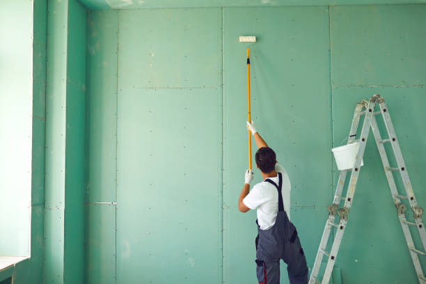 Best Ceiling Drywall Installation  in Eden, TX